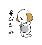 DDOlKONG'S DAY（個別スタンプ：11）