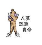 A Ginseng's Life Guides（個別スタンプ：5）