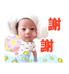 Hello Chen Bao（個別スタンプ：5）