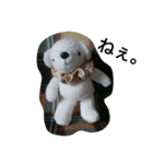 A white bear days（個別スタンプ：1）