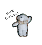 A white bear days（個別スタンプ：9）