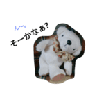 A white bear days（個別スタンプ：13）