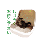 ナナ-スタンプ（個別スタンプ：22）