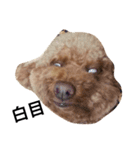 Poodle princess - ballball（個別スタンプ：1）