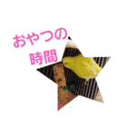 チョコ時々れん（個別スタンプ：13）