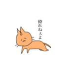 あきばねこ（個別スタンプ：2）