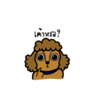 Adam the poodle dog（個別スタンプ：3）