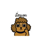 Adam the poodle dog（個別スタンプ：7）