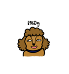 Adam the poodle dog（個別スタンプ：9）