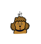 Adam the poodle dog（個別スタンプ：10）