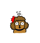 Adam the poodle dog（個別スタンプ：12）