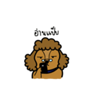 Adam the poodle dog（個別スタンプ：15）