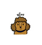 Adam the poodle dog（個別スタンプ：16）