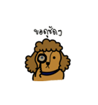 Adam the poodle dog（個別スタンプ：17）