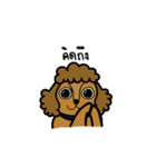 Adam the poodle dog（個別スタンプ：18）