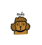 Adam the poodle dog（個別スタンプ：19）