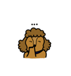 Adam the poodle dog（個別スタンプ：20）