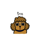 Adam the poodle dog（個別スタンプ：32）