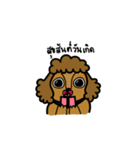 Adam the poodle dog（個別スタンプ：33）