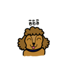 Adam the poodle dog（個別スタンプ：40）