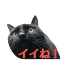 黒猫のルル君（個別スタンプ：7）