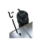 黒猫のルル君（個別スタンプ：8）