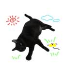 黒猫のルル君（個別スタンプ：24）