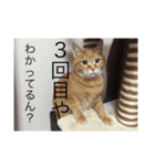 我が家のきもち（個別スタンプ：3）