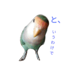 モミポ日和（個別スタンプ：3）