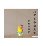 モミポ日和（個別スタンプ：7）