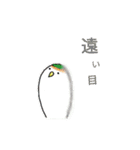 モミポ日和（個別スタンプ：17）