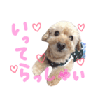 lovely my dog.ver2（個別スタンプ：1）