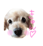 lovely my dog.ver2（個別スタンプ：14）