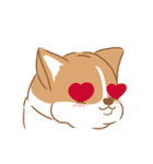 Corgi Pure Animated（個別スタンプ：1）