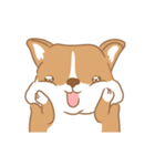 Corgi Pure Animated（個別スタンプ：9）