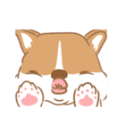 Corgi Pure Animated（個別スタンプ：11）