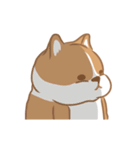 Corgi Pure Animated（個別スタンプ：12）