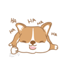 Corgi Pure Animated（個別スタンプ：17）