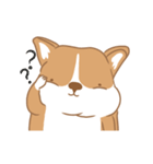 Corgi Pure Animated（個別スタンプ：20）