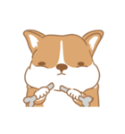 Corgi Pure Animated（個別スタンプ：22）