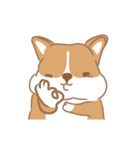 Corgi Pure Animated（個別スタンプ：23）