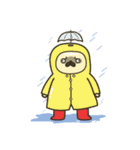 PUGPONN（個別スタンプ：16）