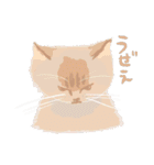 吾輩のかいた猫ども（個別スタンプ：18）