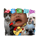 Kid with cat and French bull dog（個別スタンプ：5）