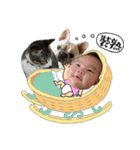 Kid with cat and French bull dog（個別スタンプ：9）