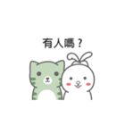 Knot ear rabbit＆ Matcha Cat lovers（個別スタンプ：16）