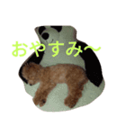 sakura dog sakura（個別スタンプ：8）