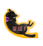 Black Enrage Dog（個別スタンプ：13）