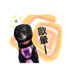 Black Enrage Dog（個別スタンプ：17）