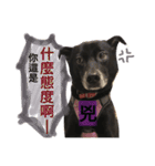 Black Enrage Dog（個別スタンプ：18）